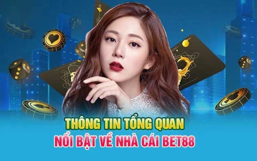 đem lại hiệu quả cao đảm bảo sự hài lòng của khách hàng